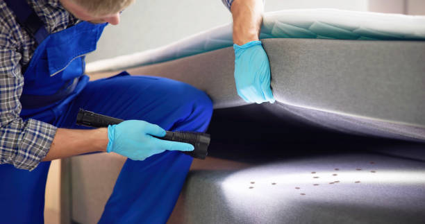 Best Wildlife Control Services  in Slidell, LA
