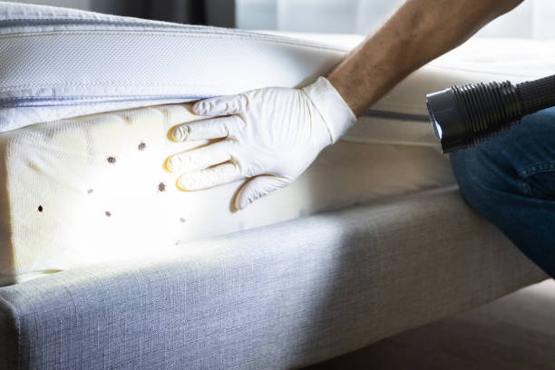 Best Commercial Pest Control Services  in Slidell, LA