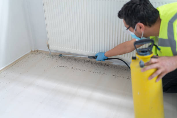 Best Best Pest Control Companies  in Slidell, LA